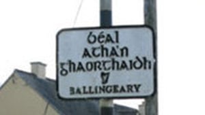 Fionnuala Uí Cheilleachair show image