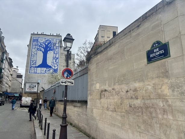 Darragh Ó Caoimh Rue Descartes