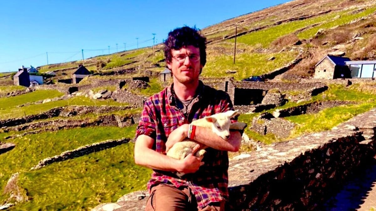 Diarmuid Ó Suilleabháin