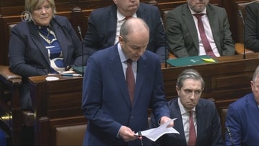 Taoiseach and Tánaiste formally apologise to survivors of industrial abuse