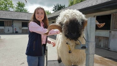 Beidh Aonach Amárach, TG4, March 4 at 8.30pm