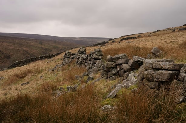 Moorland near the Bronte Waterfall