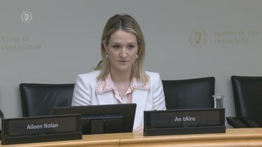 ‘There's no agreement that we would have ships in our waters,’ says McEntee on EU presidency
