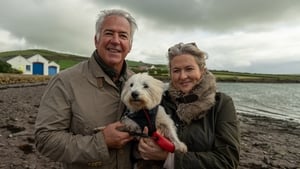 Just how easy is it to give up meat? Slán go Feoil ag tosú anocht show image