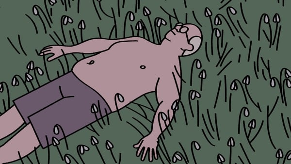 A still from the animated short Retirement Plan with man lying in long grass.