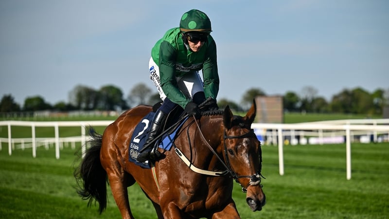 El Fabiolo, with Paul Townend up, goes to post before The William Hill Champion Chase on day one of the Punchestown Festival at Punchestown Racecourse in Kildare. Photo by David Fitzgerald/Sportsfile