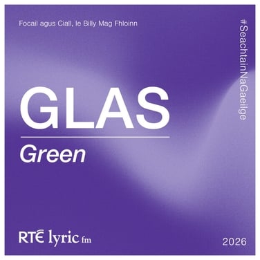 Focail agus Ciall, le Billy Mag Fhloinn