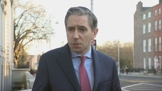 'All options are on the table' to assist Irish citizens in Middle East - Tánaiste