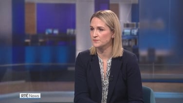 Government to charter flight for Irish in Middle East - McEntee