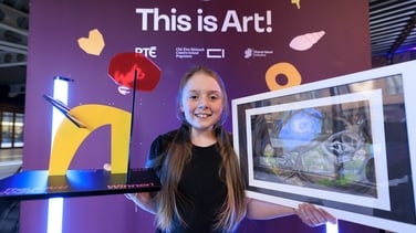 RTÉ's This is Art! 2025 winners announced