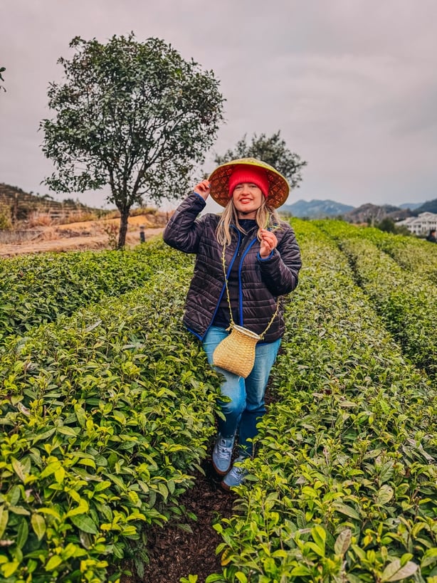 Fujian Tea Estate Wuyi Mountains
