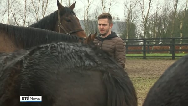 From the pitch to the stables for Kevin Doyle