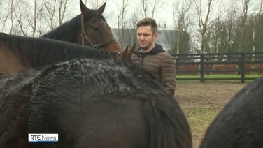 From the pitch to the stables for Kevin Doyle