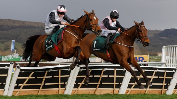 Bob Olinger (right) jumps the final hurdle ahead of Teahupoo and goes on to win the Paddy Power Stayers Hurdle during racing on day three of the Cheltenham National Hunt jump racing festival at Cheltenham Racecourse on March 13th 2025 in Gloucestershire,