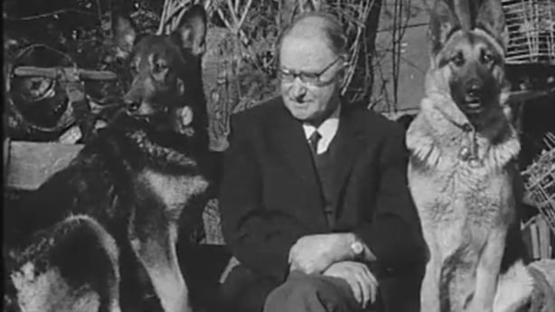 An older man and his two German Shepherd dogs