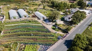 Lazy Beds  show image