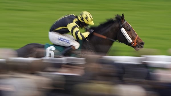 CHELTENHAM, ENGLAND - NOVEMBER 16: Sam Lee riding Golan Fortune win The Spinal Injuries Association Big Buck's Handicap Hurdle at Cheltenham Racecourse on November 16, 2019 in Cheltenham, England. (Photo by Alan Crowhurst/Getty Images)
