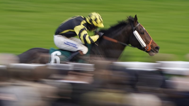CHELTENHAM, ENGLAND - NOVEMBER 16: Sam Lee riding Golan Fortune win The Spinal Injuries Association Big Buck's Handicap Hurdle at Cheltenham Racecourse on November 16, 2019 in Cheltenham, England. (Photo by Alan Crowhurst/Getty Images)