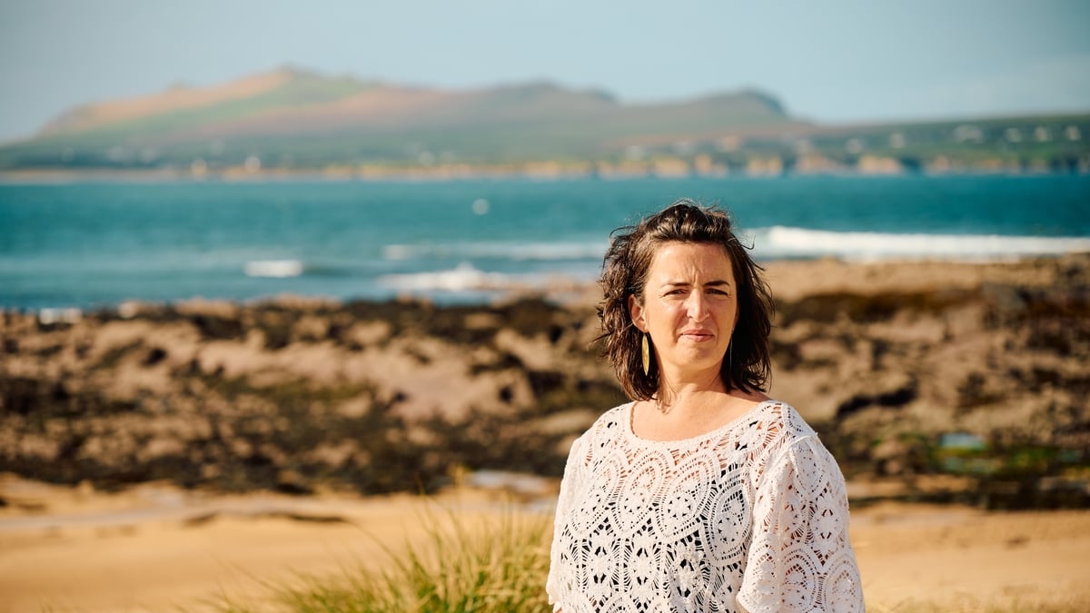 Cartlann Bhóthar na Léinsí