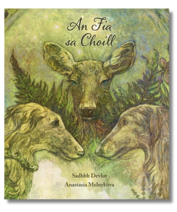 Book cover for An Fia sa Choill