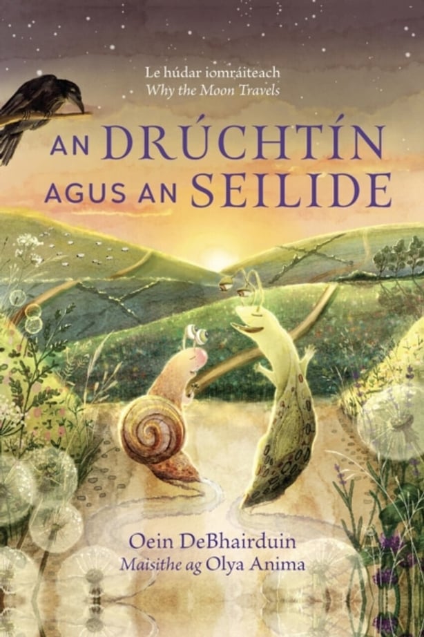 Book cover An Druchtin agus an Seilide