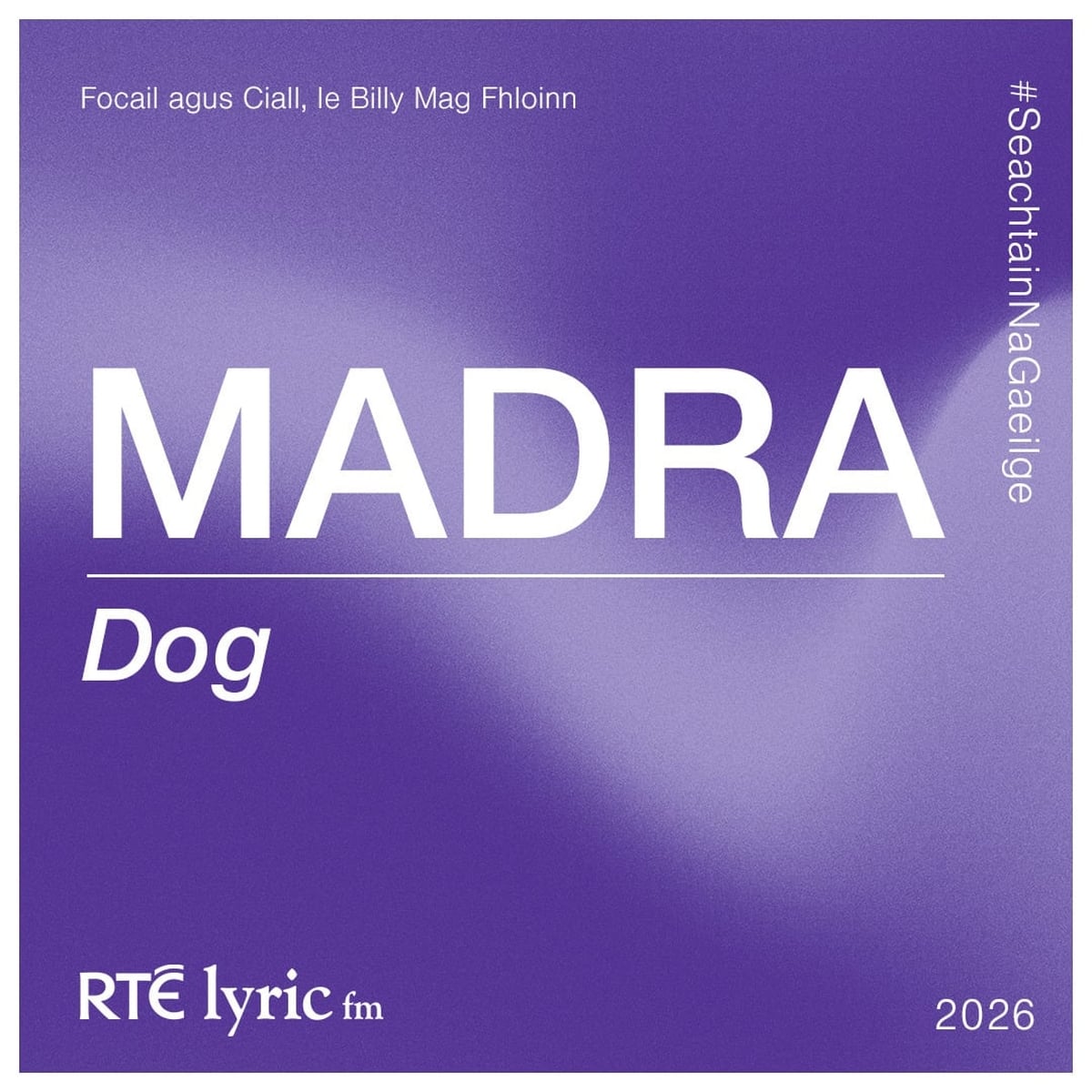 Madra | Focail agus Ciall, le Billy Mag Fhloinn