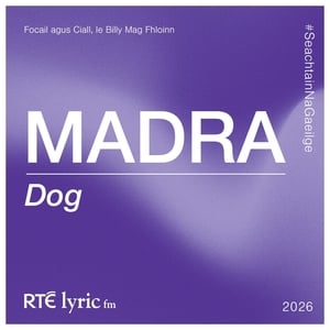 Madra | Focail agus Ciall, le Billy Mag Fhloinn show image