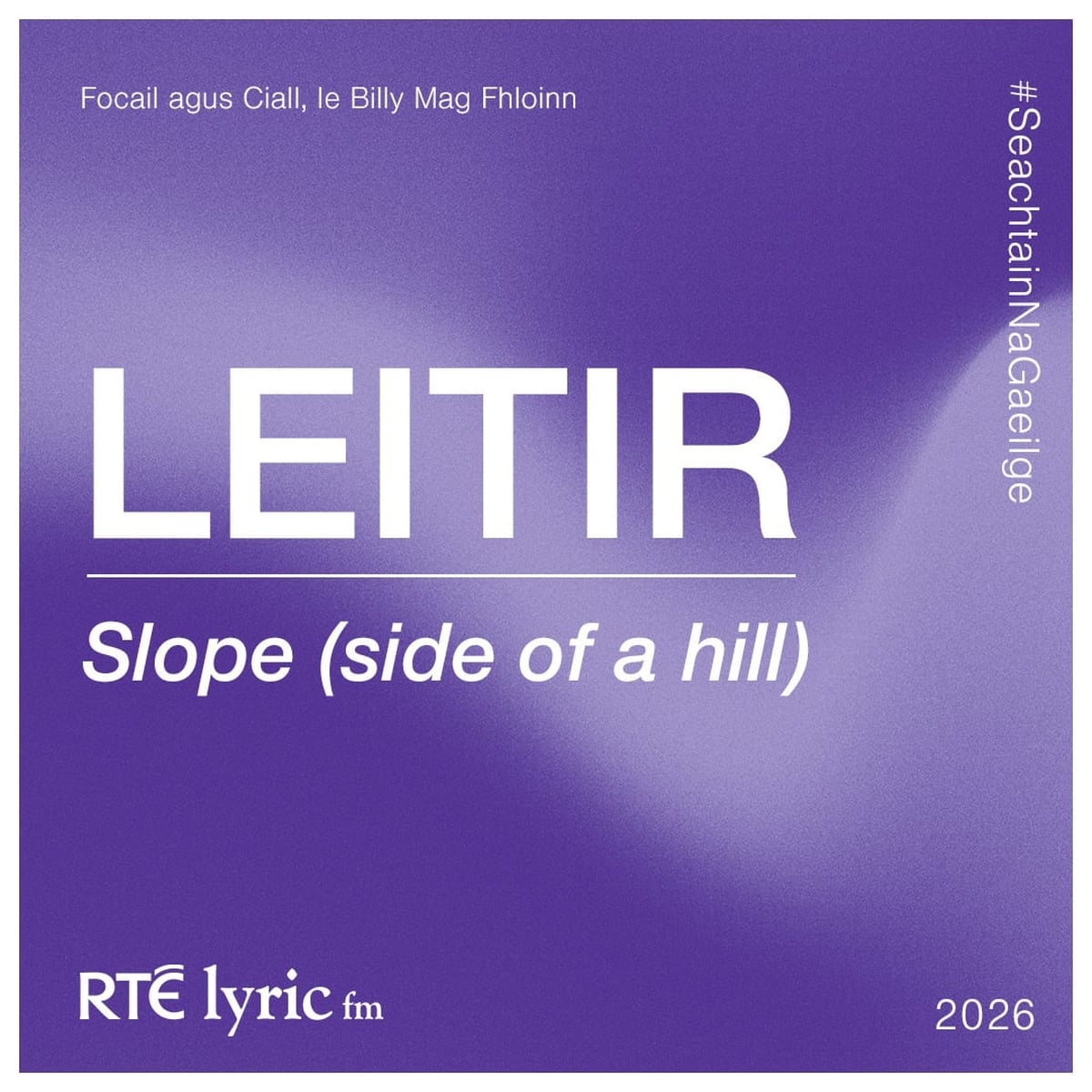 Leitir | Focail agus Ciall, le Billy Mag Fhloinn