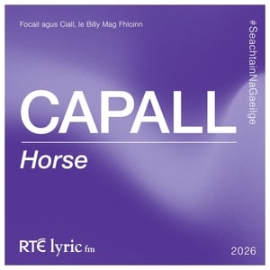 Capall | Focail agus Ciall, le Billy Mag Fhloinn show image