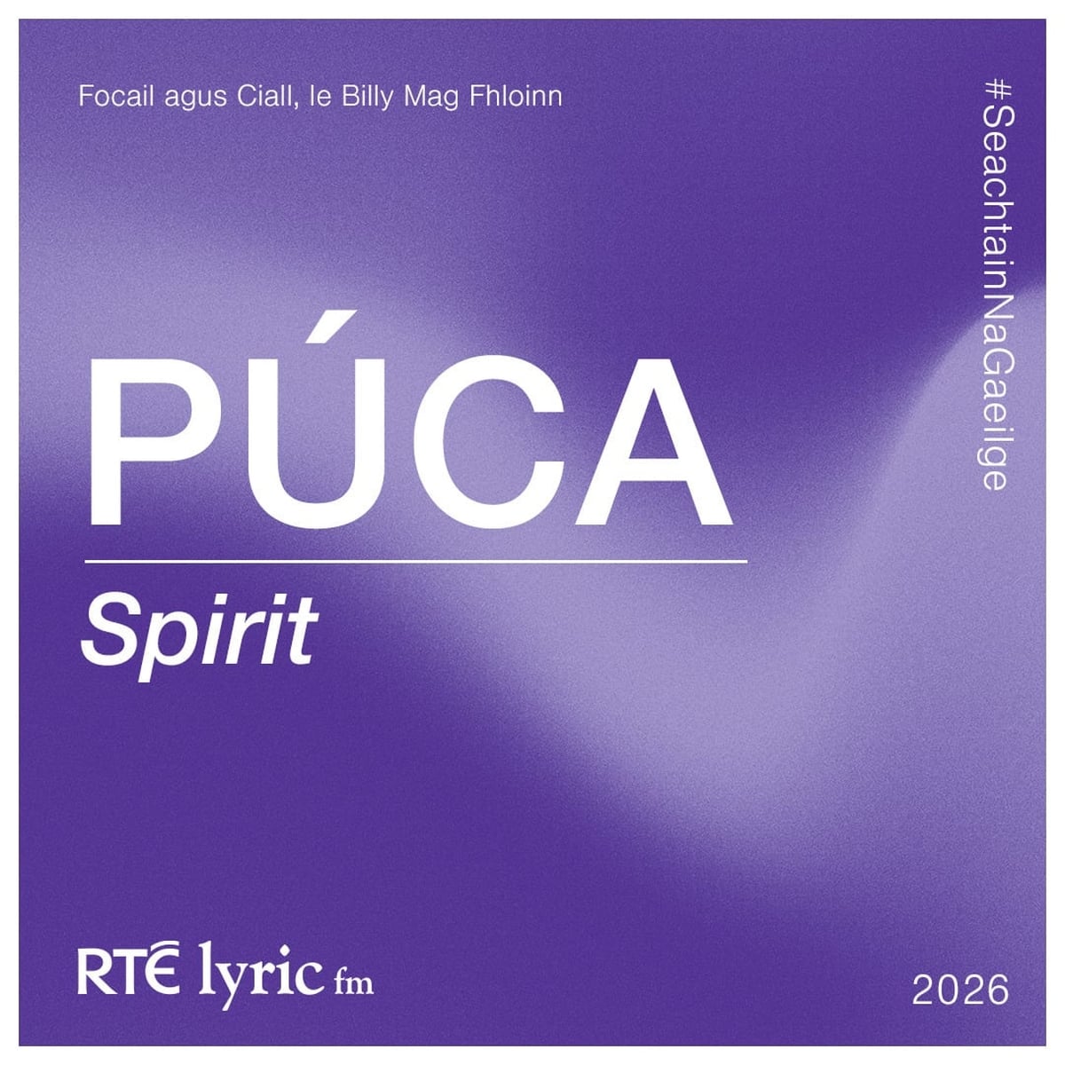 Púca | Focail agus Ciall, le Billy Mag Fhloinn