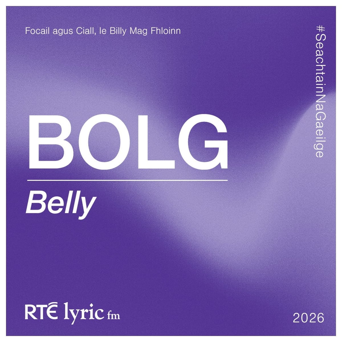 Bolg | Focail agus Ciall, le Billy Mag Fhloinn