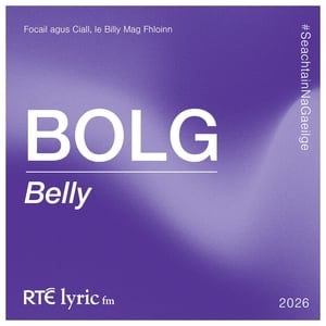 Bolg | Focail agus Ciall, le Billy Mag Fhloinn show image