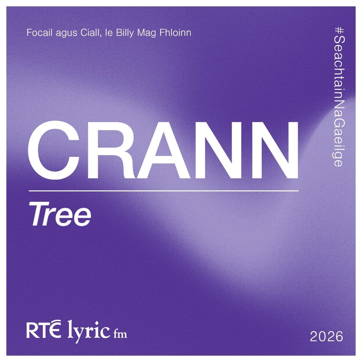 Crann | Focail agus Ciall, le Billy Mag Fhloinn