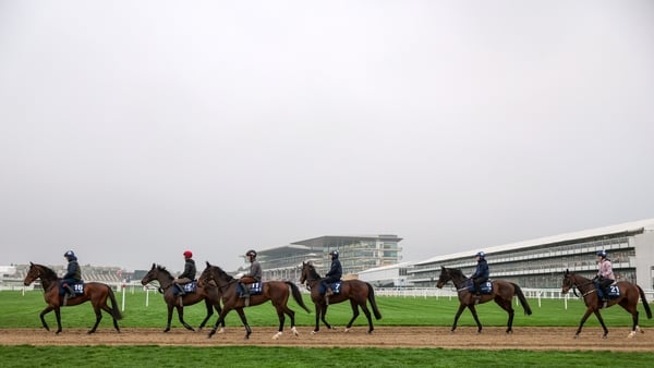 Cheltenham gets ready to roar