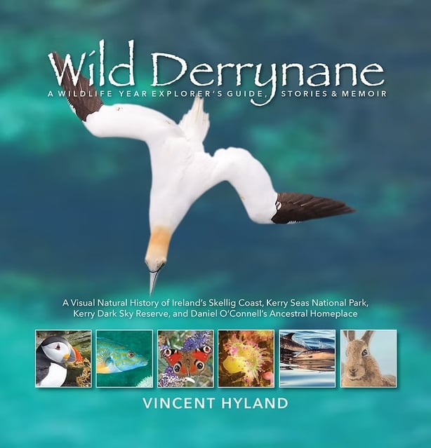 01_COVER_Wild Derrynane_book_2025