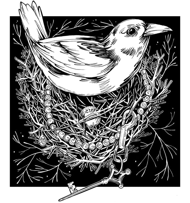 Dánfhocail illustration by Ellie Farr