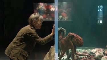 Remarkably Bright Creatures starring Sally Field and Colm Meaney