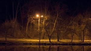 Nature Nights, Wednesday March 11th 2026 show image