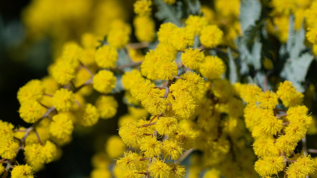 There Was Something In The Air Last Night