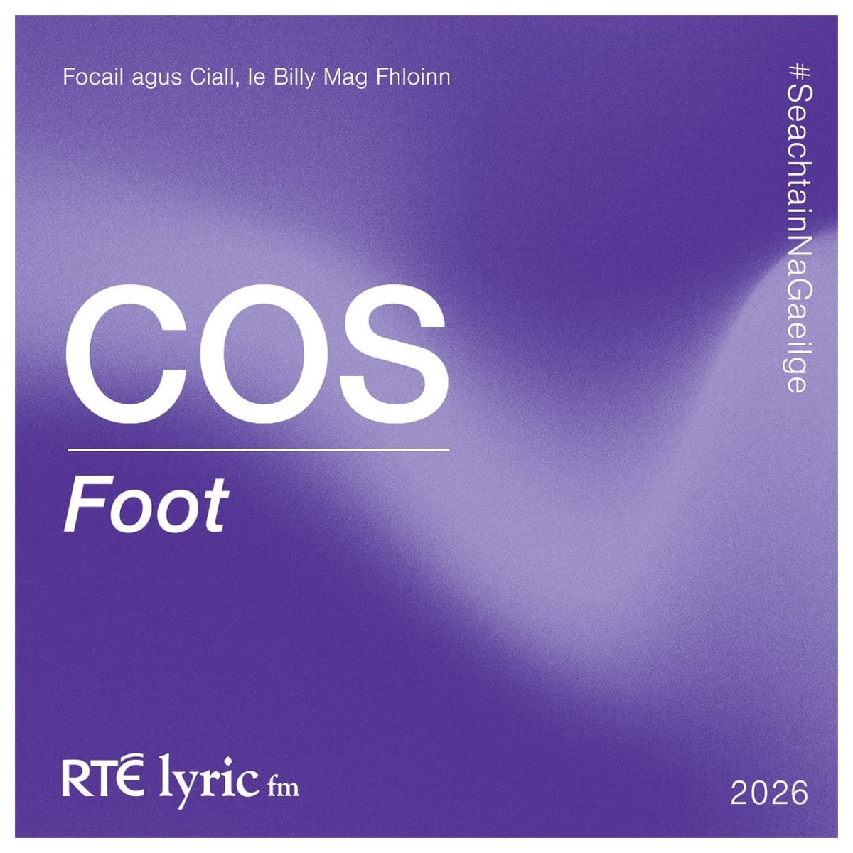 Cos | Focail agus Ciall, le Billy Mag Fhloinn