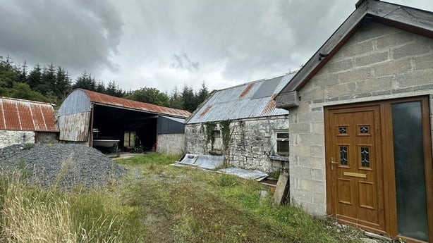A cannabis growhouse at Toomans in Leitrim 