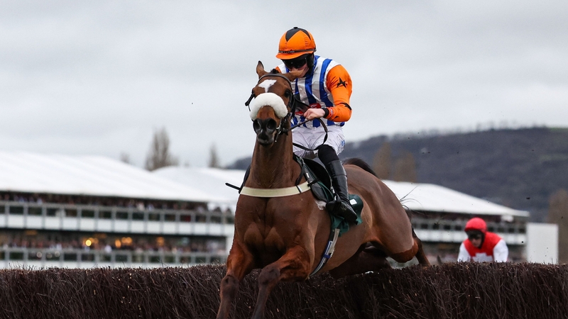 Cheltenham , United Kingdom - 12 March 2026: Ask Brewster, with Shane Cotter up, jump the last on their way to winning the Rosconn Group Fulke Walwyn Kim Muir Challenge Cup Amateur Jockeys' Handicap Chase on day three of the 2026 Cheltenham Racing Festiva