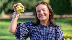 An fiú agus an féidir staonadh ón bhfeoil? show image