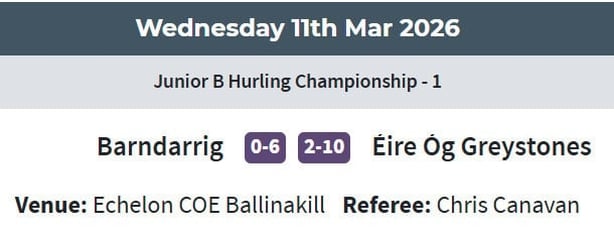 junior hurling