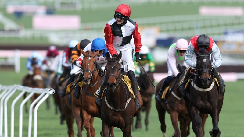 Cheltenham Festival: Day 4 updates