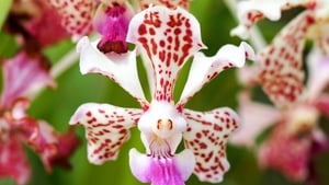 The Natural World Never Fails To Impress And Inspire show image