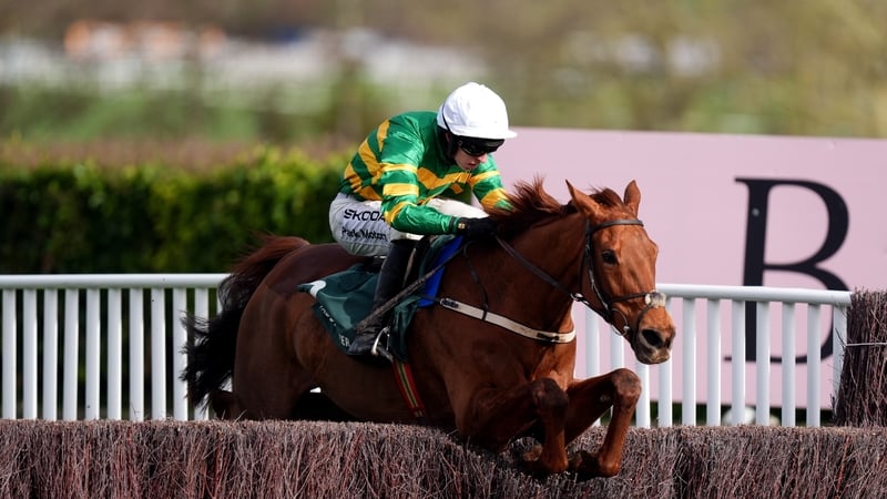 Dinoblue ridden by Mark Walsh on their way to winning the Mrs Paddy Power Mares' Chase at Cheltenham in 2026