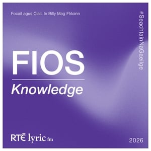 Fios | Focail agus Ciall, le Billy Mag Fhloinn show image