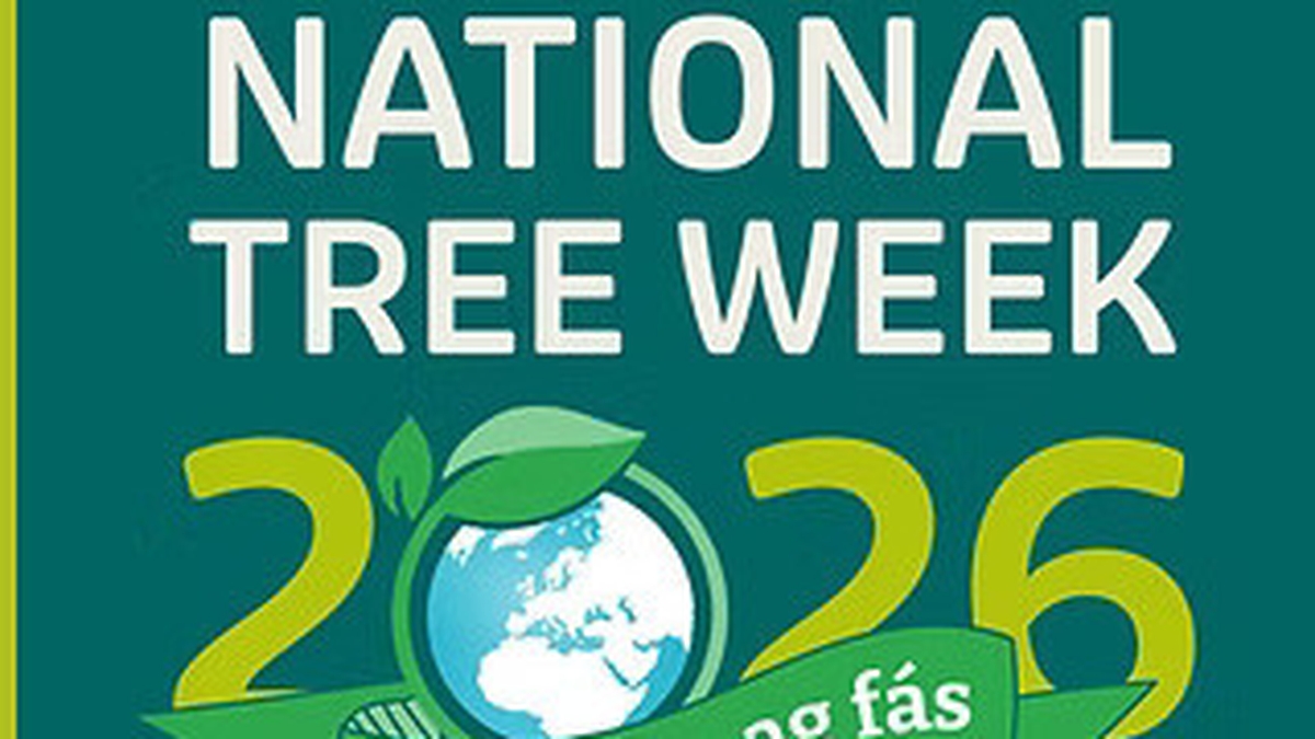 National Tree Week 2026: How To Get Free Trees