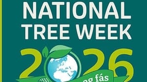 National Tree Week 2026: How To Get Free Trees show image